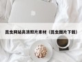 沛县昆虫网站高清照片素材（昆虫图片下载）